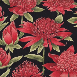 NEW Australian Waratah Flowers on Black Floral Quilting Fabric 1/2 Metre - Picture 1 of 1