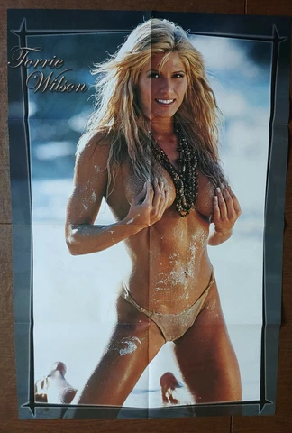 TORRIE WILSON & EDGE WWE WWF 32X22 LARGE GIANT POSTER Cover
