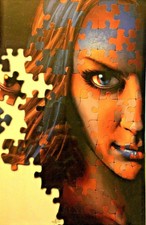 ANGEL AFTER THE FALL #13 RI-B VIRGIN COVER VFN/NM 1st PRINT IDW 2008