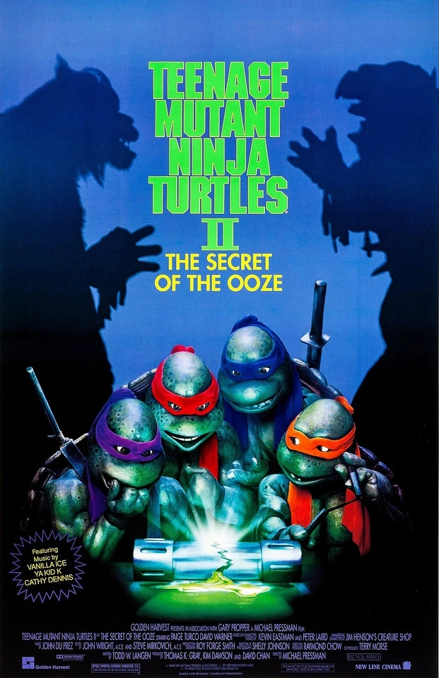 Teenage Mutant Ninja Turtles movie poster - 11 x 17 inches (tmnt2)