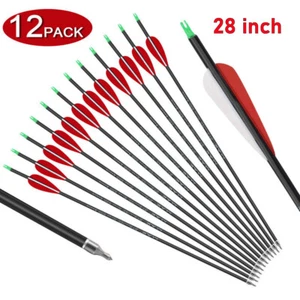12Pcs Archery Carbon Hunting Target Arrows 28" spine 500 Recurve & Compound Bows - Picture 1 of 12