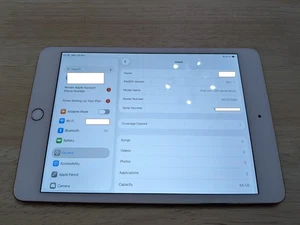 Apple iPad Mini 5th Gen A2133 64GB Rose Gold WiFi 7.9" - Tested/Working - Picture 1 of 8