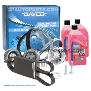 KIT DISTRIBUZIONE POMPA ACQUA CINGHIA SERVIZI PER NISSAN JUKE 1.5 DCI 110CV 81kW - Imagen 1 de 9