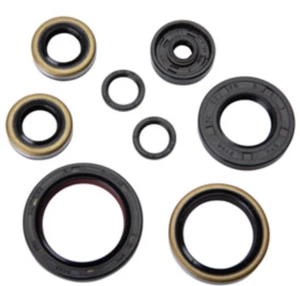 Tusk Engine Oil Seal Kit Crank KTM 85 SX XC 2003-2017 105 SX XC 2004-2011 - Foto 1 di 1