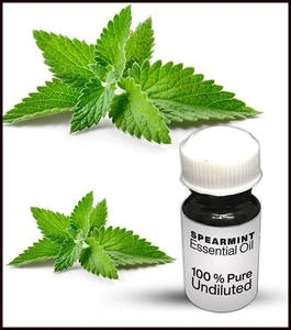 Spearmint Essential Oil 100% Pure Undiluted (10ML-500ML) - Picture 1 of 1