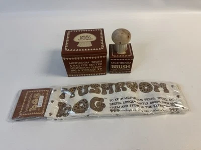 BOLSO Y CEPILLO VINTAGE DE SETAS Taylor & Ng San Francisco en caja 1982 Foto 1 de 4