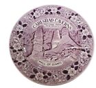 Vintage Carlsbad Caverns Purple  Plum Transfer Plate Staffordshire Ware England