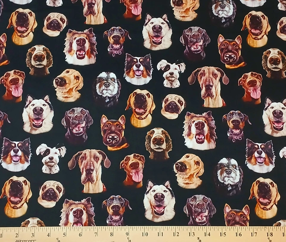 Estampado de tela de algodón negro Cotton Follow Your Nose Dogs Pets por yarda D758,66 Foto 1 de 1