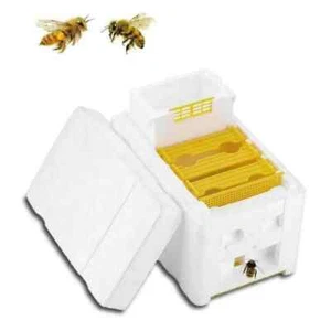 Cajas de apareamiento de abejas apicultura reina caja de cría de abejas marcos de espuma estuche de apicultura - Imagen 1 de 19