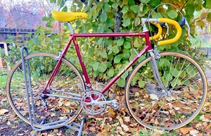Guerciotti Columbus SLX Road Bike 56cm Campagnolo - Picture 1 of 22