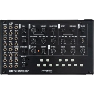 Moog Mavis | Neu - Bild 1 von 4