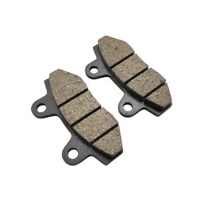 Pastiglie Freno Anteriore Originali 09105005 Fantic XMF-XEF 125 Euro 5 - Imagen 1 de 3