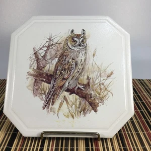 Placa de remache de búho de colección Hot Pad 1994 Annette Smith arte pájaro naturaleza otoño marrón - Imagen 1 de 9