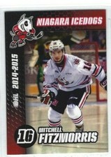 2014-15 Niagara Icedogs (OHL) Mitchell Fitzmorris