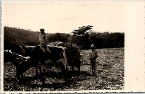 Carro tirando de bueyes con niño pequeño México? RPPC - Imagen 1 de 2