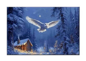 Home Art Decor Moon Flying Owl Bird Oil Painting Picture Printed On Canvas VII - Picture 1 of 9