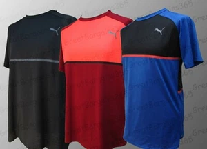 Mens Puma Sports T-Shirt Power BND Top Running Gym DryCell S M L XL BNWT - Picture 1 of 38