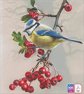 Blue Tit DIGITAL DOWNLOAD Counted Cross Stitch Pattern PDF Saga - Picture 1 of 6