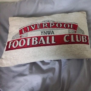 Liverpool Rectangle Cushion - Picture 1 of 3