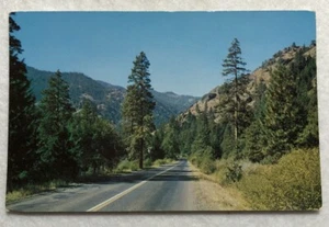 White Pass Autobahn. Washington Postkarte (M1) - Bild 1 von 2