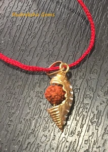 SHIVA LORD SHIV SHAKTI SHANKH COUNCH RUDRAKSHA PENDANT HINDU YANTRA KAVACH POWER - Picture 1 of 2