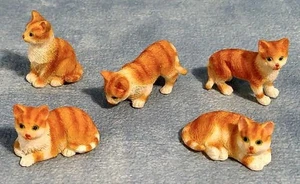 Ginger and White Cats 5 Assorted for 12th Scale Dolls House - Picture 1 of 1