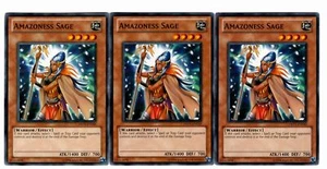 Yugioh - 3X Amazoness Sage - Común - Ilimitado - DREV-EN030 - Juego ligero - Imagen 1 de 1