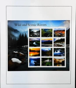 2019 Wild And Scenic Rivers Sheet of 12 - USA Stamps MNH (CO-001) - Imagen 1 de 1