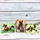 Three 1996 Robert Vavra Horses of the Sun Postcards - Sold as Set
