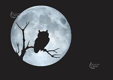 Silhouette Owl against the Moon Poster. Professionally Printed.