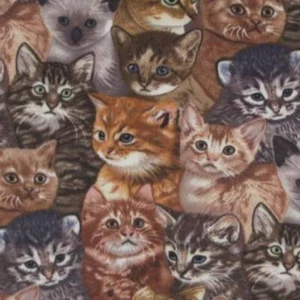 Cats Kittens Print Fleece Fabric - 60" Wide - Sold by The Yard & Bolt - Picture 1 of 1