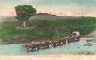 South Africa, Oxen Drawn Wagon Crossing River