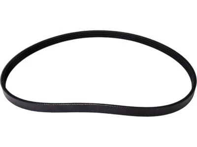 For 1993-2002 Nissan Quest Multi Rib Belt 11636DCWP 1994 1995 1996 1997 1998 - Image 1 of 2