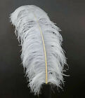 2 Pcs White OSTRICH PLUMES 8"-18" Feathers Top Quality Hats/Weddings/Halloween