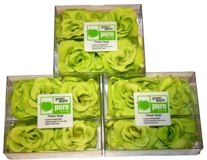(3 Stück) Grüne Apfelblütenseife von Pure Spring, Apfelduft, Schaumbad, NEU - Bild 1 von 4