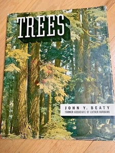 1938 TREES by JOHN BEATTY, Associate Of LUTHER BURBANK - Imagen 1 de 11