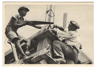 Rare postcard: Israel pre 1948, by Adler S. Hadar HaCarmel, Palestine - Picture 1 of 2