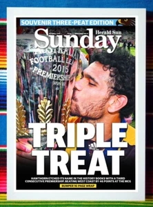 Framed 2015 HAWTHORN HAWKS AFL Premiers Poster - 62cm x 44.5cm x 3cm - Picture 1 of 3