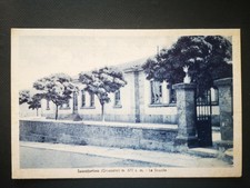 SASSOFORTINO - LE SCUOLE - ROCCASTRADA GROSSETO - NON VIAGGIATA - cod 1901