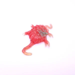Vintage Plastic Rubber Toy 1970’s Chinasaur Slurfie Uglies Juggler Clear Monster - Picture 1 of 5