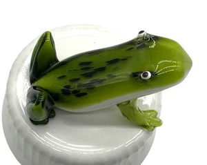 Pisapapeles Weirdo Derpy Rana Sapo Soplado a Mano Arte Vidrio Muy Pesado 6"L x 3.5"H - Imagen 1 de 7
