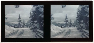 Original 1930s stereo glass slide Vienna winter scene - Picture 1 of 1