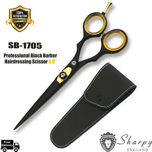 Professional Hairdressing Cutting Scissors Shears Barber Salon 6.0" for Home
