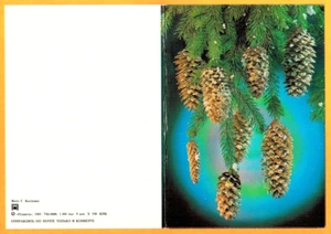 1985 Russian NEW YEAR folding postcard FIR TREE CONES - Picture 1 of 2