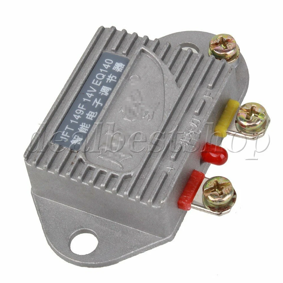 Electronic Generator with Light Support Automobile Universal Regulator 14V 1000W Foto 1 de 4