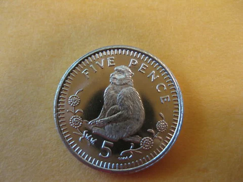 2000 Gibralter Coin  MONKEY Proof like Uncirculated beauty  Nice coin Cover