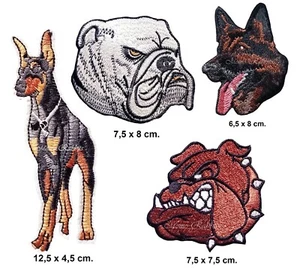 4 x Aufbügler DOBERMANN PITBULL SCHÄFER HUND Iron On DOG SHEPHERD Patch #S4 - Bild 1 von 5