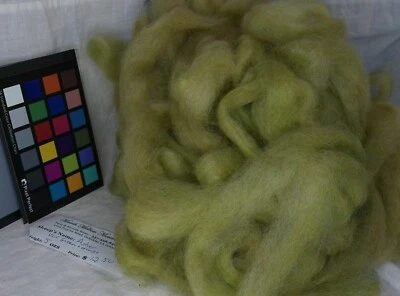 Variegated Lt Green romney wool roving spinning felting weaving fiber art - Image 1 of 3