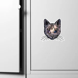 Galaxy the cat Magnet - Picture 1 of 4