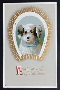 Hearty Congratulations Fluffy Dog Horseshoe Postcard c1910s Embossed Germany - Picture 1 of 2